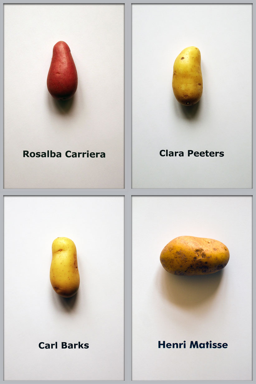 (c) Stih & Schnock, Kartoffelportraits, 2022 (20x30cm each)